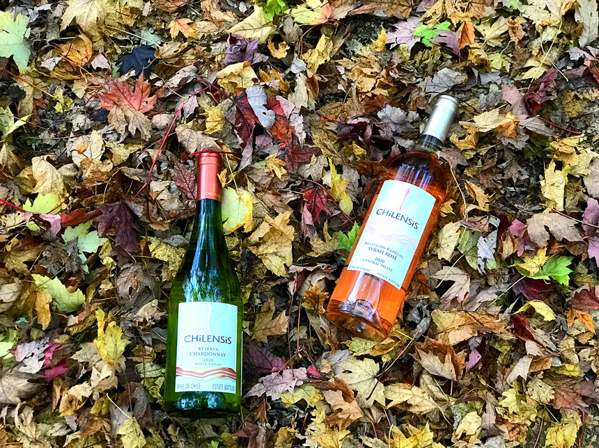 菏澤進(jìn)口紅酒代理 | 14.5度的紅酒是好酒嗎